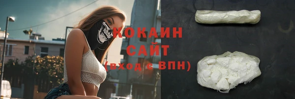 тгк Пестово