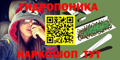 ГАЛЛЮЦИНОГЕННЫЕ ГРИБЫ Беслан