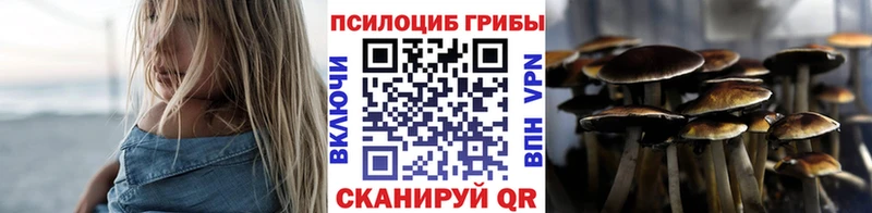 ссылка на мегу ССЫЛКА  Боровичи  Псилоцибиновые грибы Psilocybine cubensis 